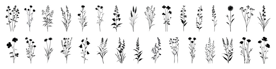 Elegant botanical silhouette collection, isolated vector set