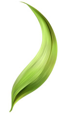 Abstract green leaf, nature design, swirl, background, website isolated on transparent or white background. Generative ai