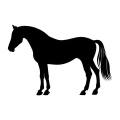 Horse silhouette illustration animal black vector