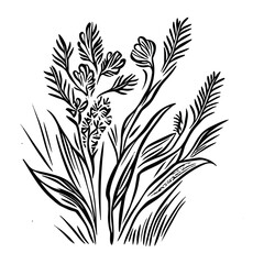 Wildflower drawing art sketch vector