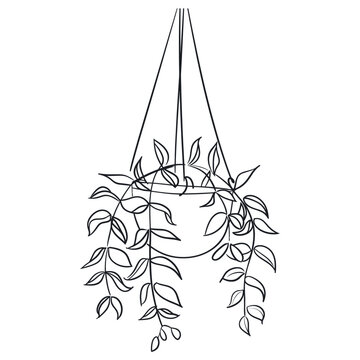 recommend clip art: Hanging plant illustration sketch leaves vector