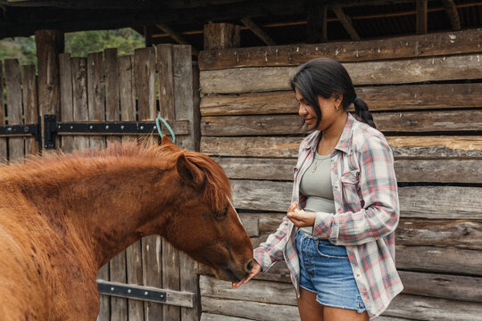 Feeding horse