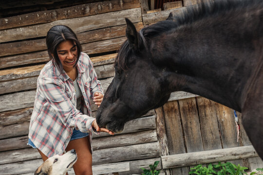 Woman feeding horse