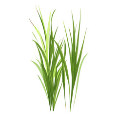 Flat vector of green grass plant illustration leaf vector