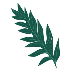 Obraz premium Tropical leaves plant leaf art vector