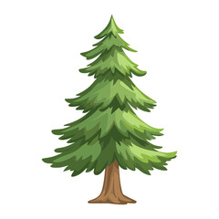 Obraz premium Pine tree illustration botanical evergreen vector