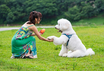 Woman and Dog Sharing a Heartwarming Handshake in the Park.