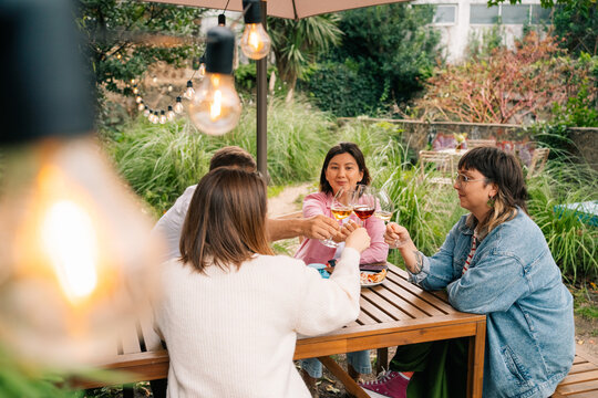 Friends Toasting at Outdoor Gathering