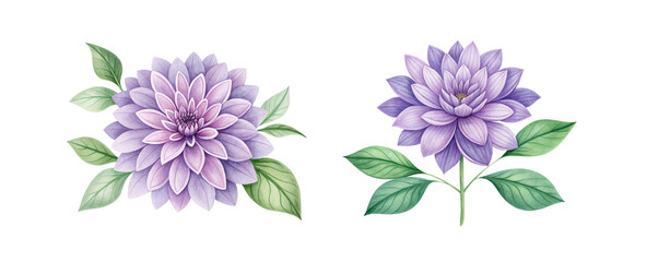 Fototapeta premium Hand-Drawn Purple Flower Collection, Watercolor Floral Illustrations, Decorative Art