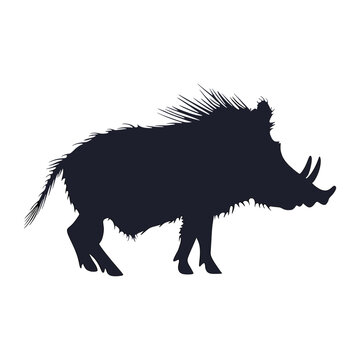 recommend clip art: Warthog silhouette illustration wildlife animal vector
