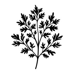 Simple parsley linear art illustration graphics vector