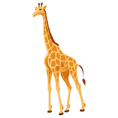 Obraz premium Giraffe walking giraffe illustration wildlife vector