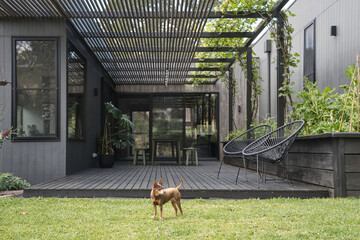 Stylish modern home deck and a. small dog on lawn
