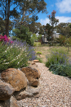 Pathway through vibrant garden