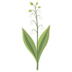 Fototapeta premium Lily of the valley flower illustration leaves vector