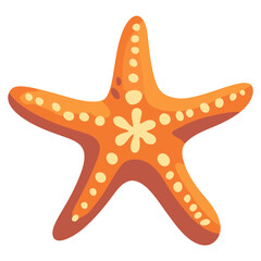 Starfish illustration animal invertebrate vector