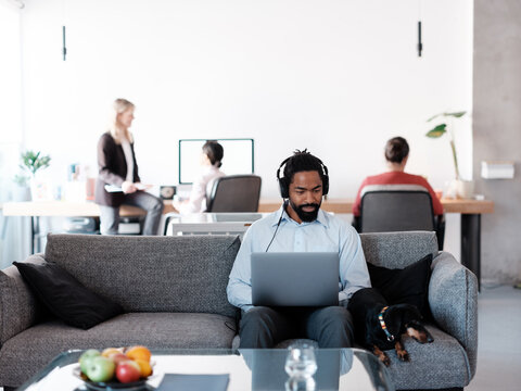 Man Working With Laptop And Headphones On Couch With A Dog 