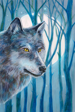 Wolf in the night forest and the full moon