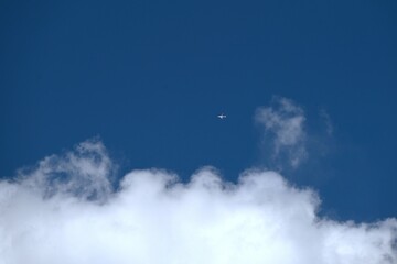 A view of blue skies and white clouds. Birds and airplanes flying in the clear sky, and the silhouettes of trees blend in with the white clouds.