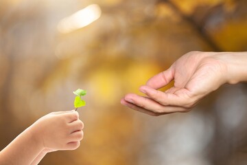 People handing plant, reduce CO2 for sustainable future.