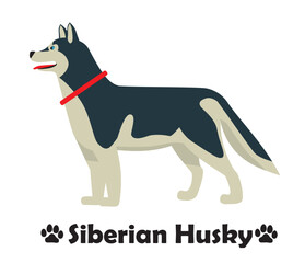 シベリアンハスキー　フラットデザイン、横向きの犬のシンプルなイラスト