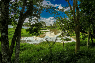 A serene lake surrounded by lush greenery. The vibrant vegetation reflects beautifully on the water's surface, creating a peaceful and tranquil natural scene.