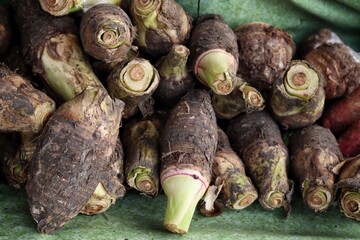 Close up of fresh taro raw