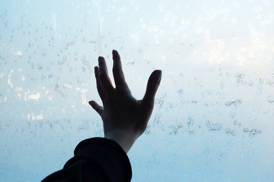 Icy iced cold freeze frost flower winter window and hand touching it