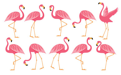 Flamingo pink drawing clipart set. Summer bird flamingo clip art collection cute tropical elements vector illustration. 
