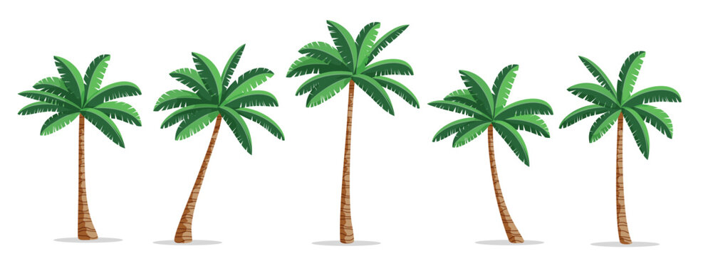 Palm tress drawing clipart set. Coconut and palm trees clip art icon with green tropical leaves collection vector illustration. 
