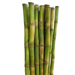 Obraz premium Fresh green bamboo stalks arranged closely together, showcasing their natural beauty and texture. Ideal for nature themed designs or eco friendly projects
