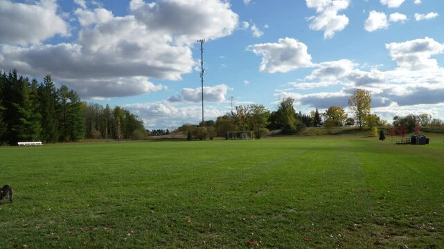 Great Disc Golf Throws (Backhand & Forehand)