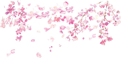 水彩画。水彩タッチのの春の桜ベクターイラスト。桜の満開背景フレーム。Watercolor painting. Spring cherry blossoms vector illustration with watercolor touch. Cherry blossoms in full bloom background frame.