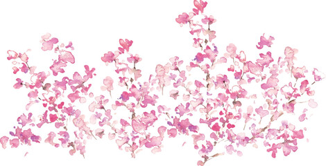 水彩画。水彩タッチのの春の桜ベクターイラスト。桜の満開背景フレーム。Watercolor painting. Spring cherry blossoms vector illustration with watercolor touch. Cherry blossoms in full bloom background frame.