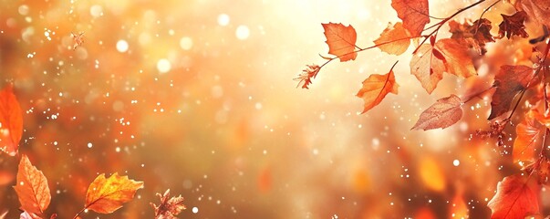 Autumn leaves falling from trees on a sunny autumn day