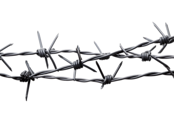 Barbed wire Isolated on Transparent or White Background.