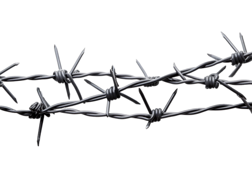 Barbed wire Isolated on Transparent or White Background.