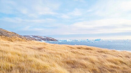 Golden Grasses Against Icy Shoreline under Clear Sky