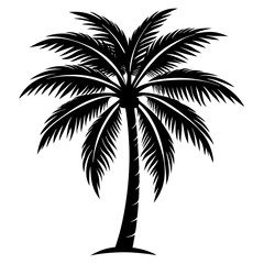 palm tree silhouette