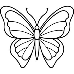black and white butterfly