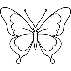 butterfly on white background