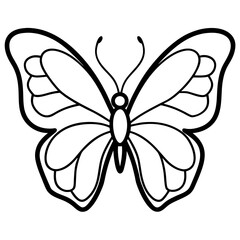 butterfly on white background