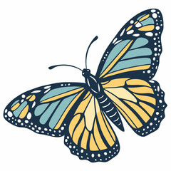 butterfly on white background
