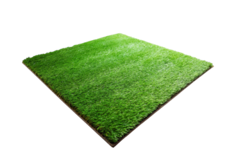 Astro turf floor Isolated on Transparent or White Background.