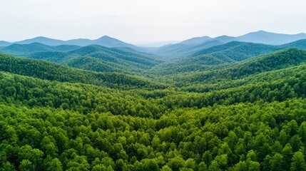 Obraz premium Sustainable ecosystem solutions in a vibrant, high-resolution image.