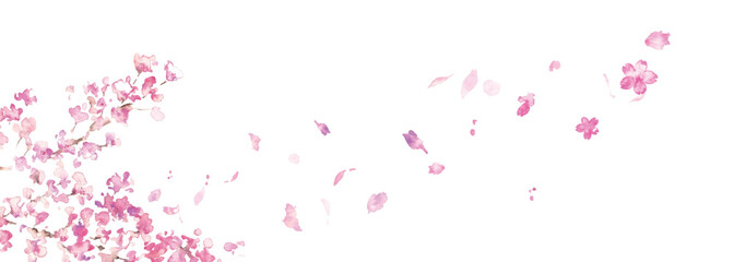 水彩画。水彩タッチのの春の桜ベクターイラスト。桜の満開背景フレーム。Watercolor painting. Spring cherry blossoms vector illustration with watercolor touch. Cherry blossoms in full bloom background frame. © necomammma