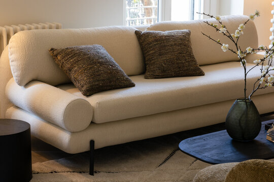 Elegant living room interior with sofa and decor accents