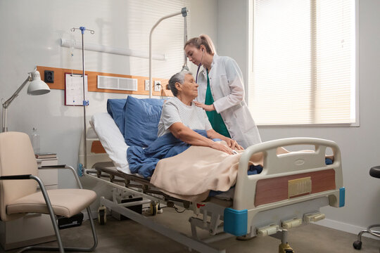 Female doctor examining elderly patient in hospital bed