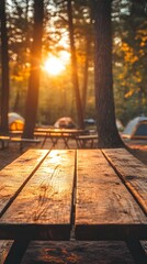 Cozy Campsite Sunset in Serene Forest Landscape