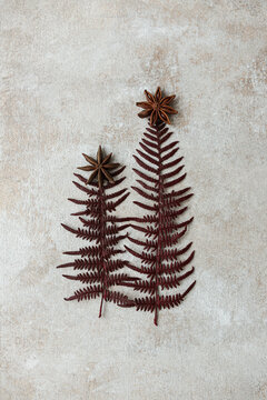 Delicate Christmas trees crafted from dried ferns and spices